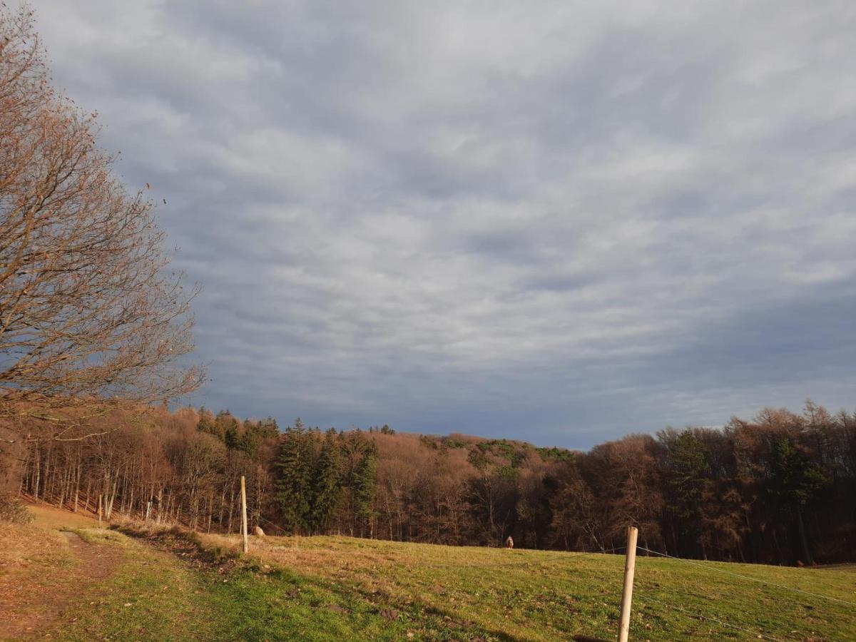 Erholungsheim Im Wienerwald Irenental Ngoại thất bức ảnh